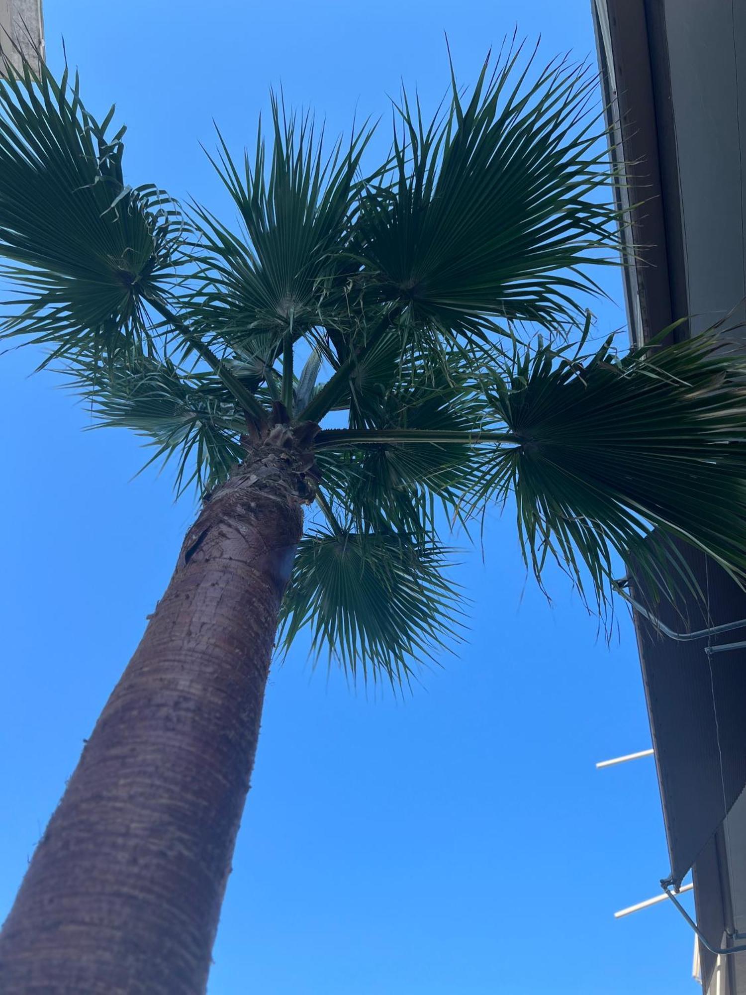 Elia Pool Villa 卡瓦拉 外观 照片